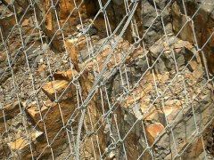 布魯克網(鈦克網)